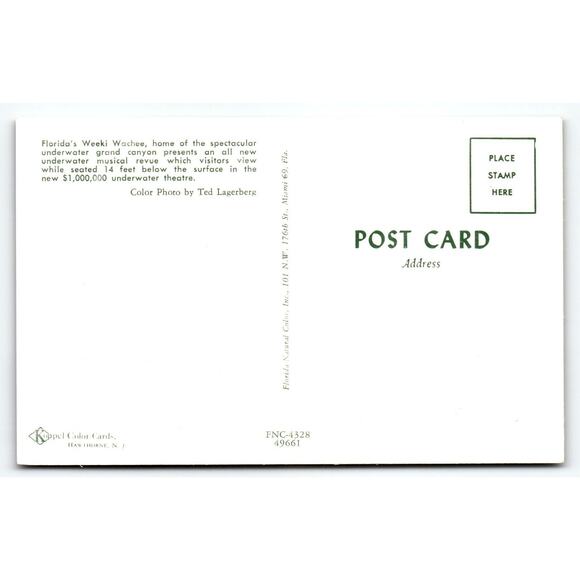 Weeki Wachee Florida Postcard Swimsuit Mermaids Underwater Show Vintage Chrome - Picture 2 of 2